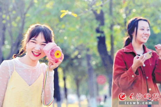 赏花赏叶赏秋景,是上天赐予的美好时光。长沙晚报全媒体记者 贺文兵 摄