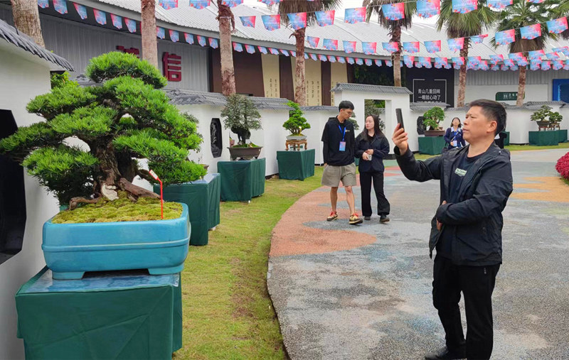 �辰չ�������������� ������