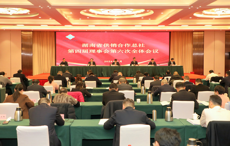 会议现场。湖南省供销合作总社供图