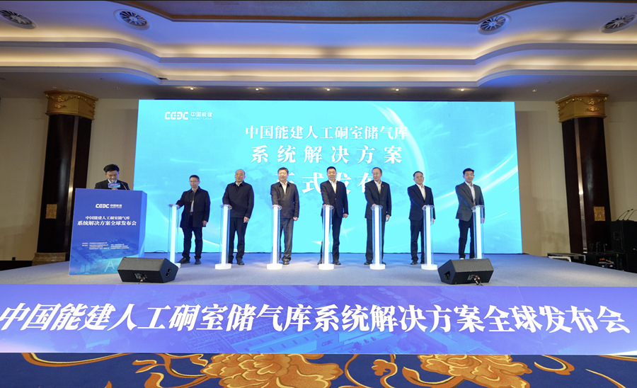 发布仪式。受访单位供图