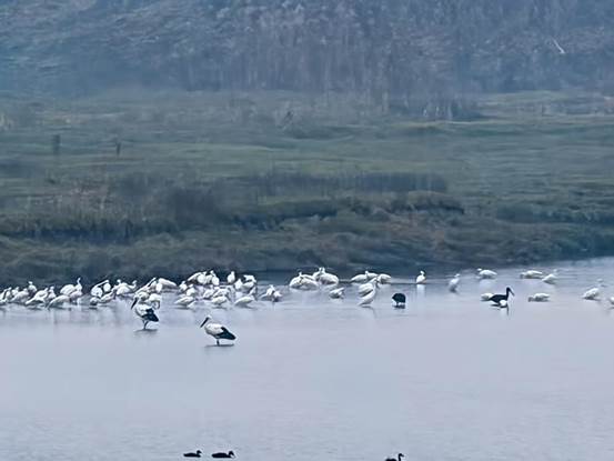 c5f707dfba19744ade9752468c920440