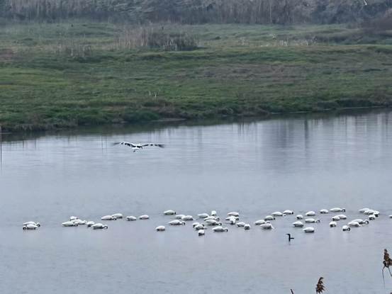 99fc298ba25eada777e37a1cb601d64a