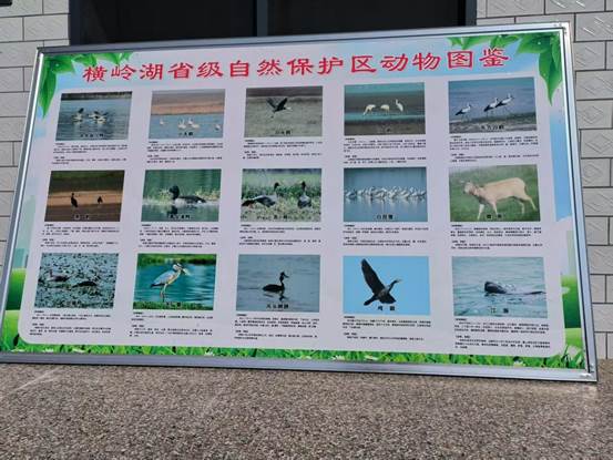 b931f18464ec5816ca8774a1b08da9d1