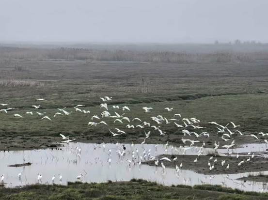 8e2120bf20f54f4b9dbdb0b7f6cb3880