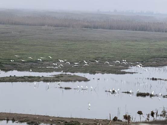 27b0e96ba30607eebd6914cb891ffcd8